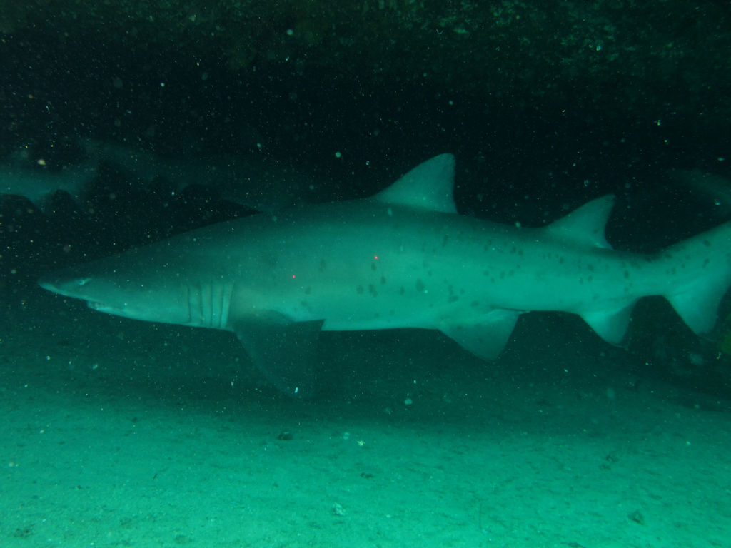 f2b1f74b-1e2b-46e7-b100-041feb99d75a