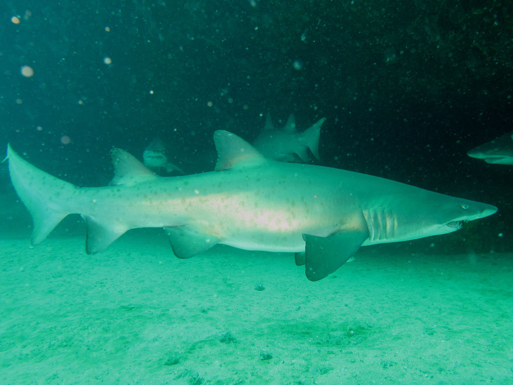 64b0f87e-7cca-405e-ae86-93ac62228e13