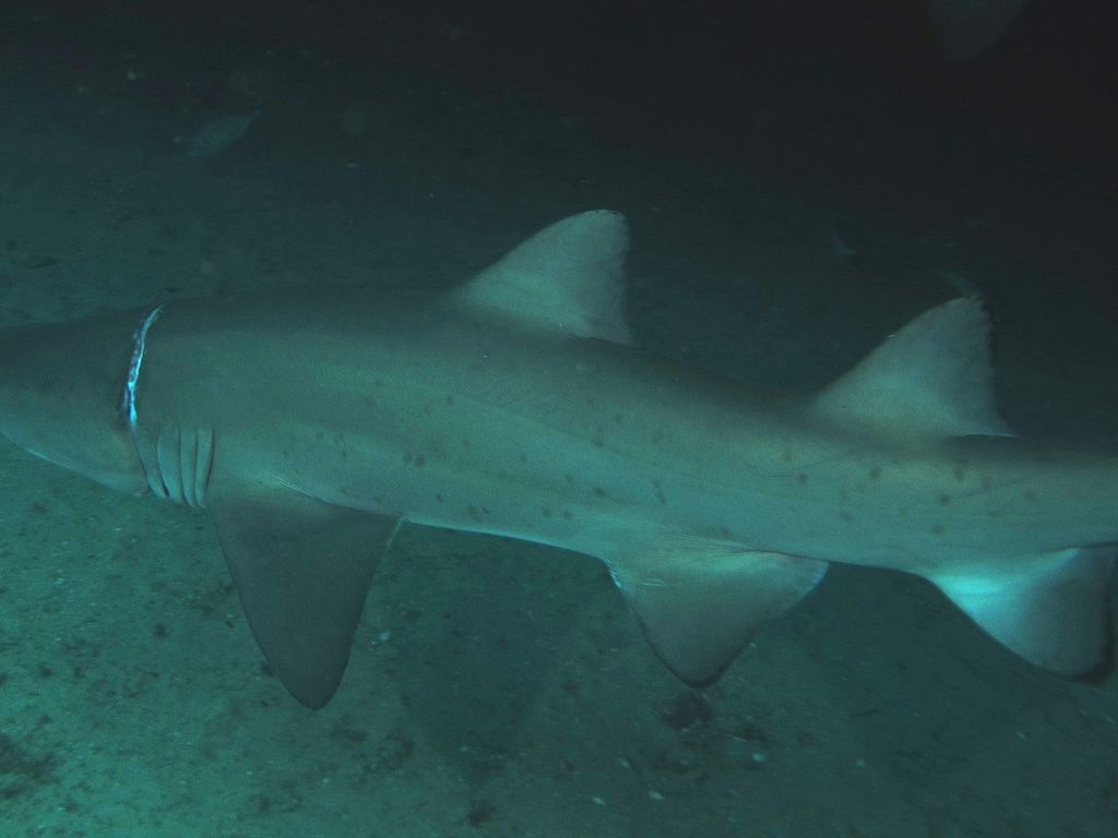 3abe5446-1416-4ba5-9bee-83dadeed9021