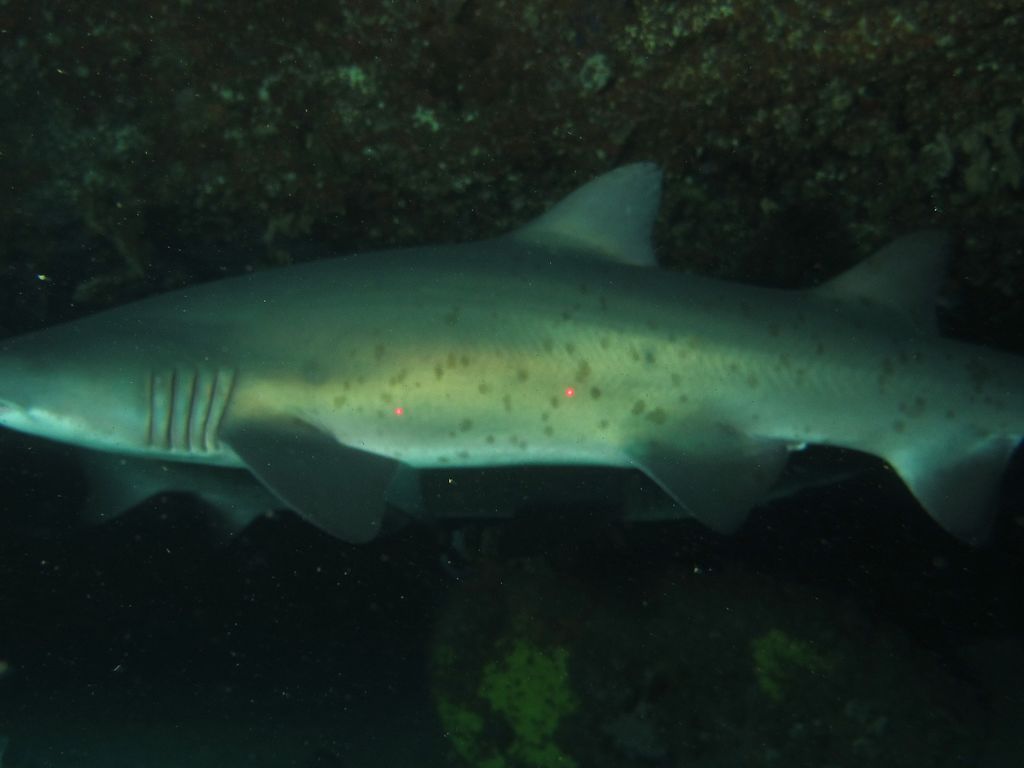 cfbcc5e4-c24a-4521-afb5-b13dc0074cd3