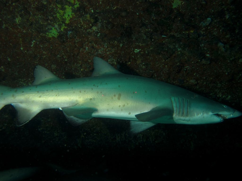 33603e97-c9f9-46f8-ba88-87e3f5c26b26