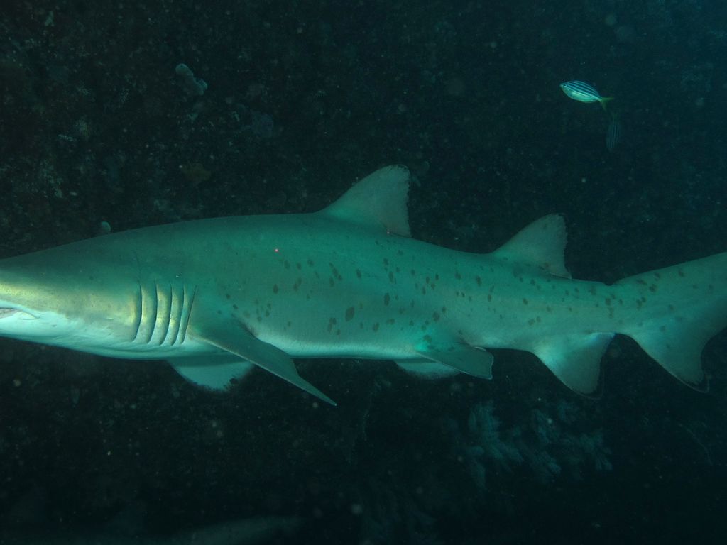 57a78ca3-0767-4901-af06-e6436da282f8