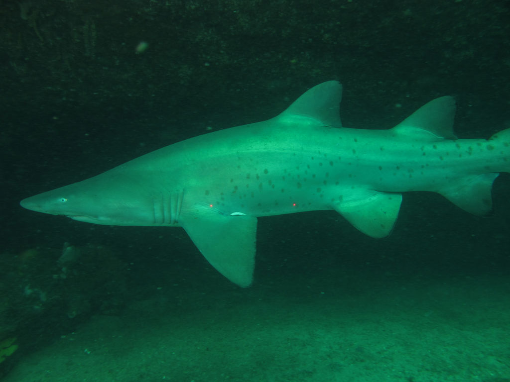 65914b2e-8a8f-4db7-9f67-62457a5d8a15