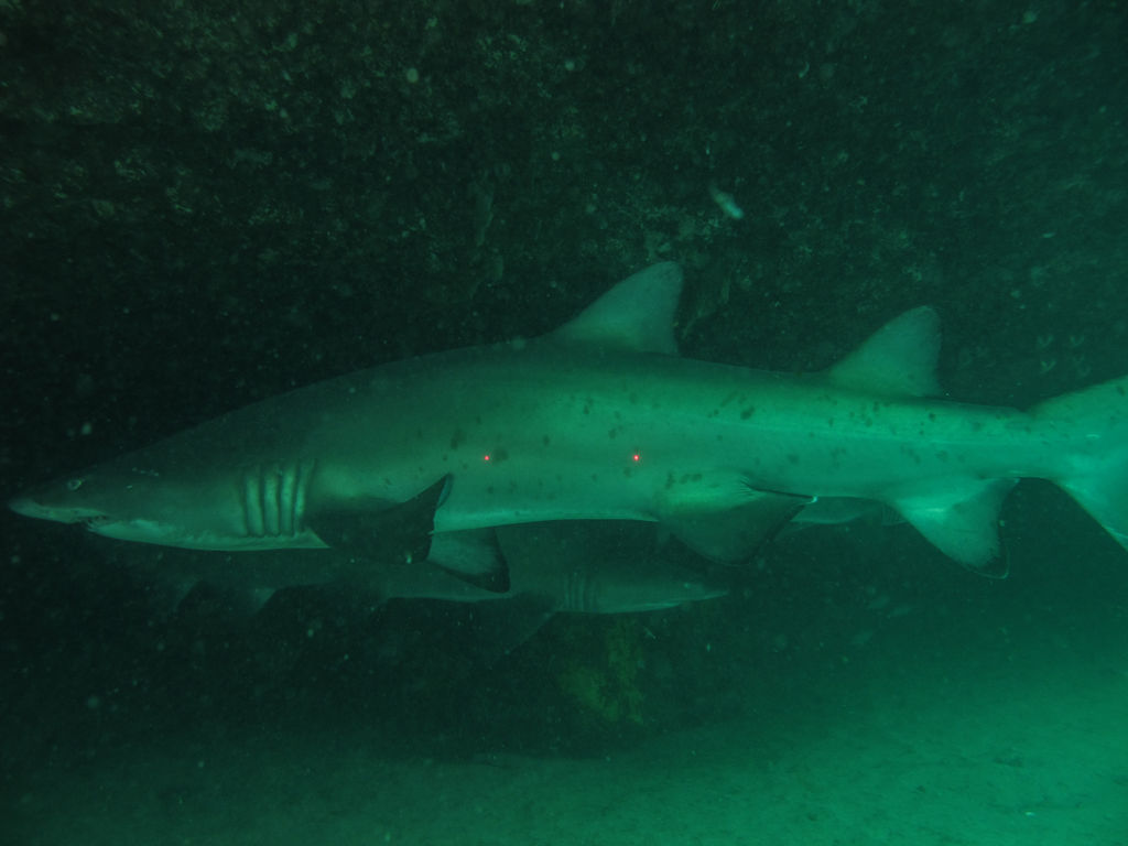 a687afec-5851-4101-a725-be1e4b2e640c