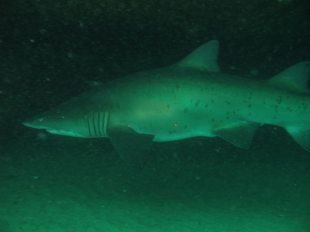 232c8b95-3a5a-44d6-b82a-b880881cbab1