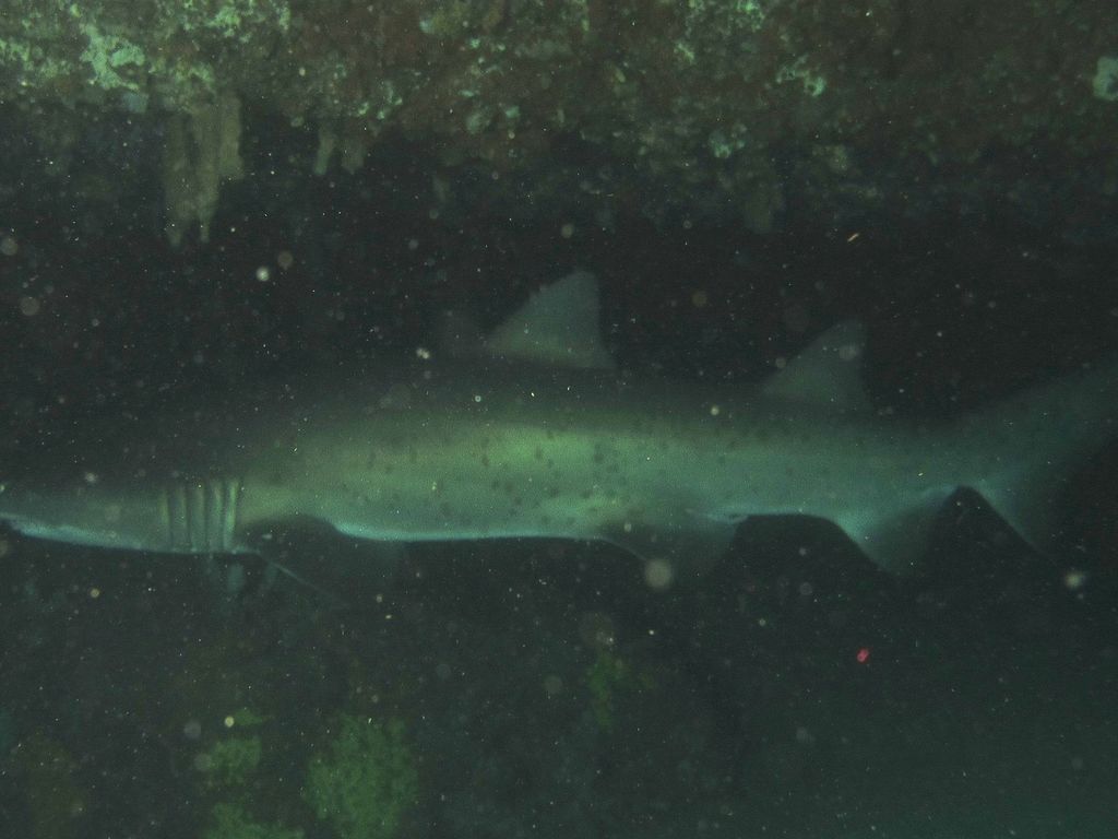 d67f5e40-e8f7-40b7-a9e7-7e97d00dab6d