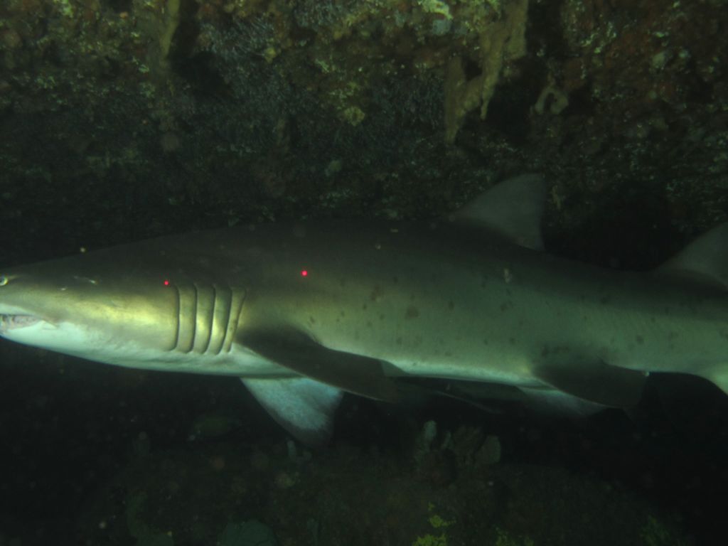 a687afec-5851-4101-a725-be1e4b2e640c