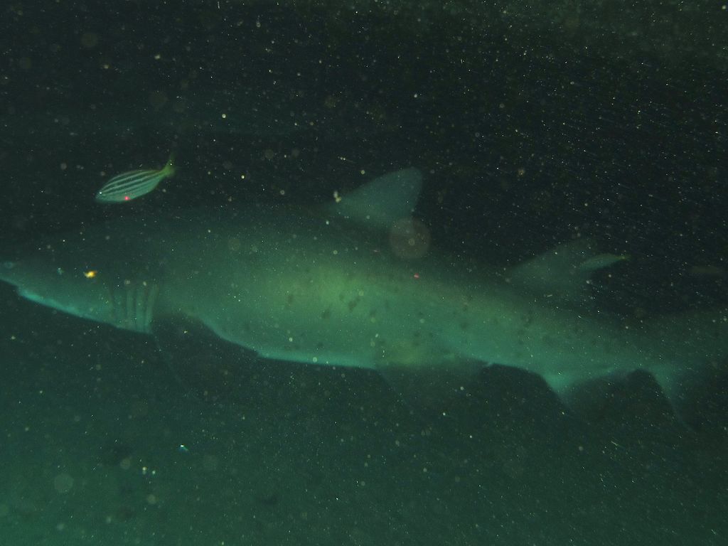 232c8b95-3a5a-44d6-b82a-b880881cbab1