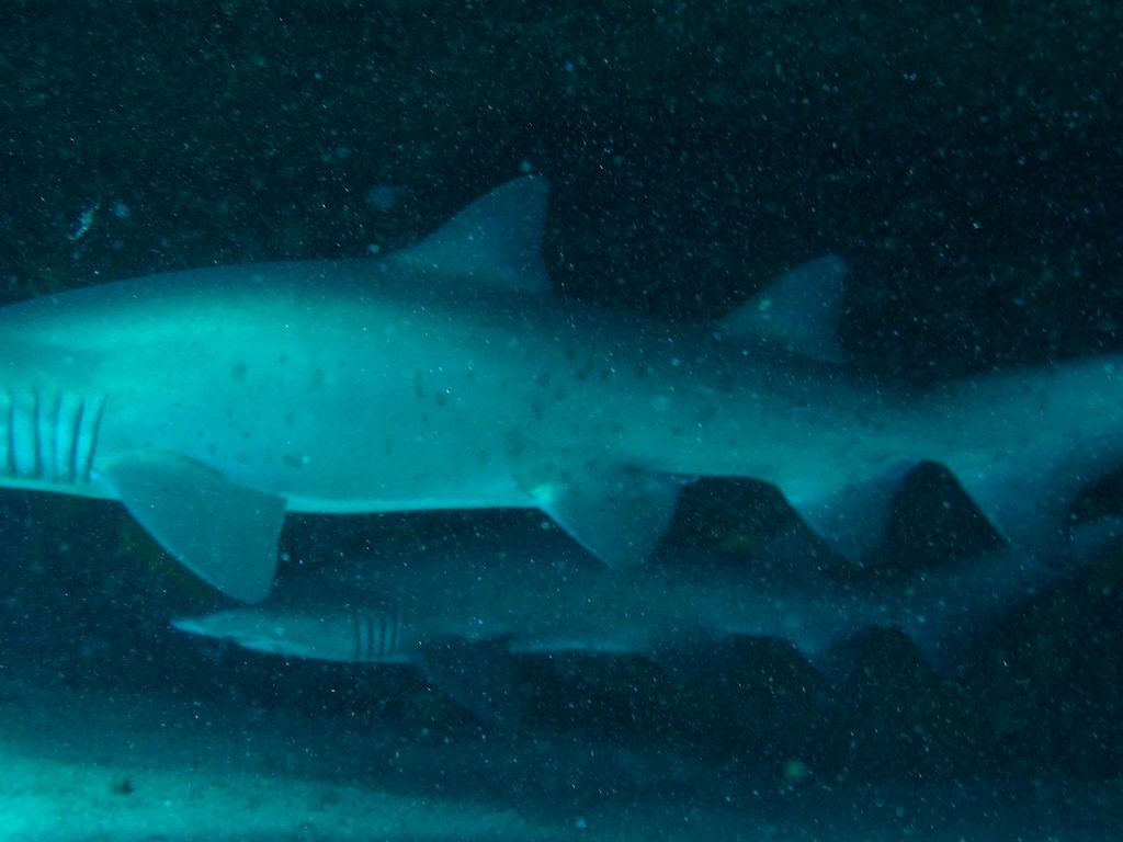 4808ccba-5029-4fdc-9e12-77b33c6268d9