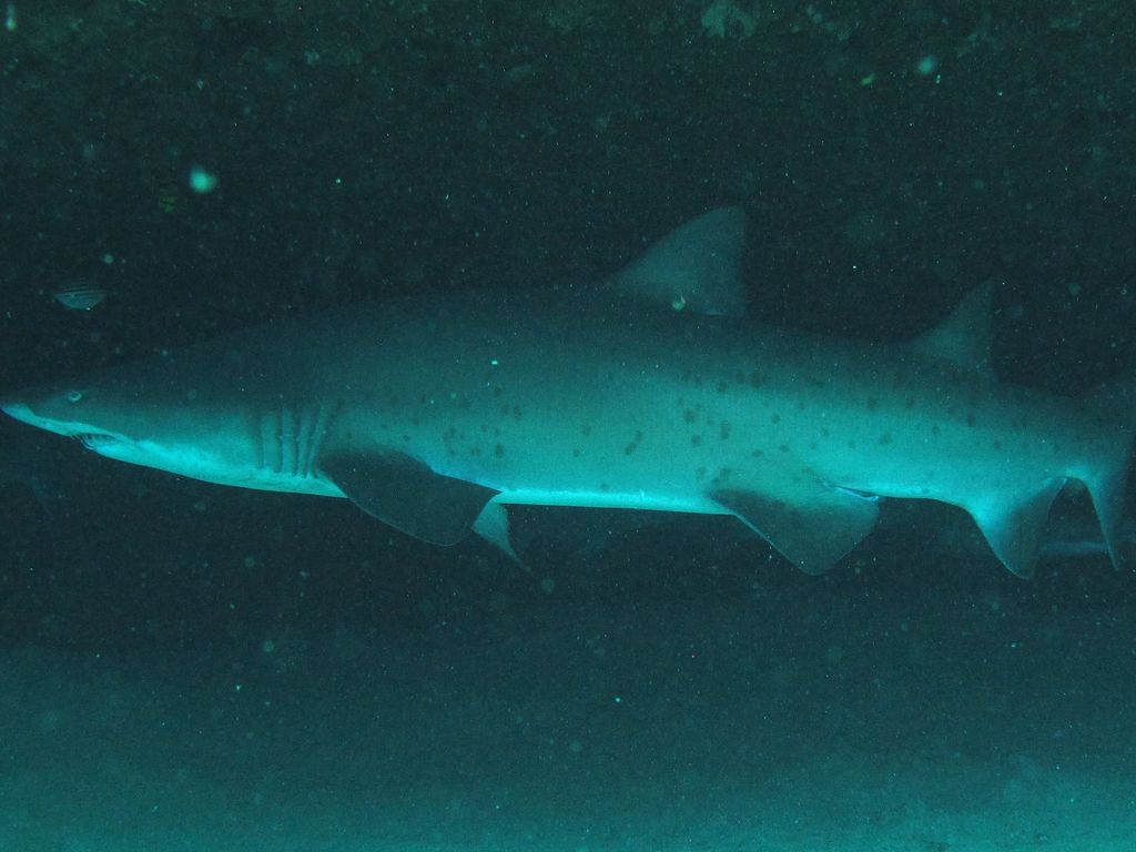 3f64a93d-499f-4fc9-aae2-82b6d564d614