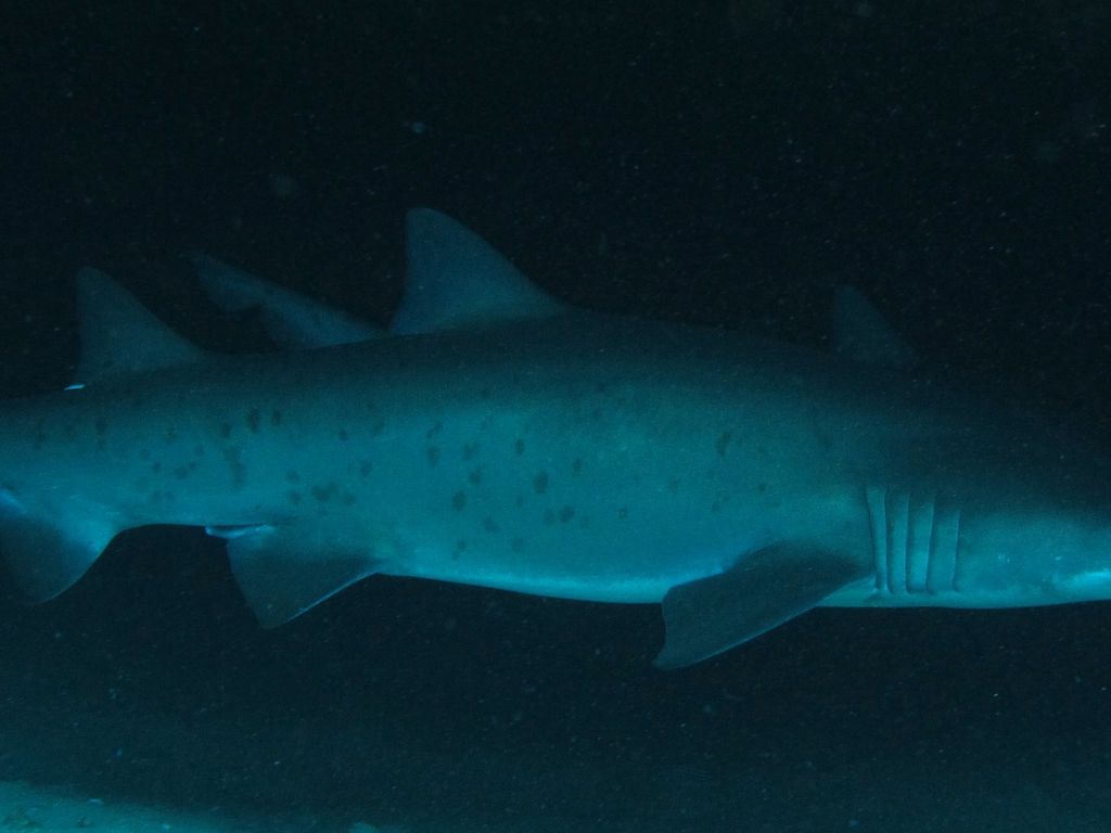 4cc08b0b-6d11-4051-acf9-87eb5de1fb7e