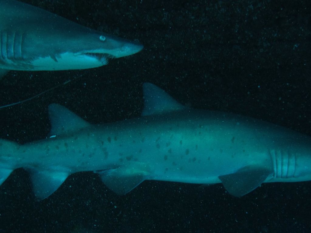 4cc08b0b-6d11-4051-acf9-87eb5de1fb7e