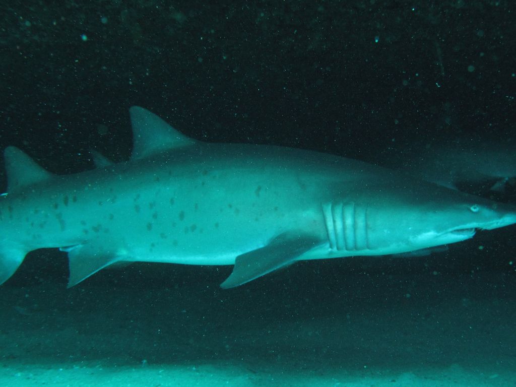 4cc08b0b-6d11-4051-acf9-87eb5de1fb7e