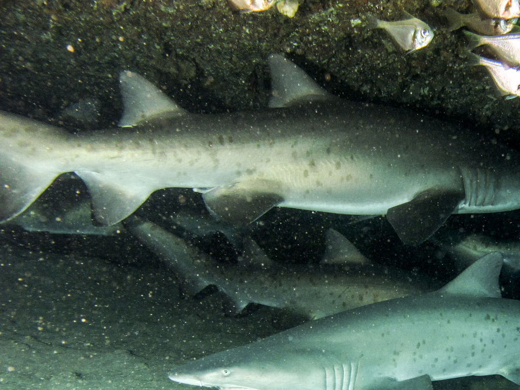 4cc08b0b-6d11-4051-acf9-87eb5de1fb7e