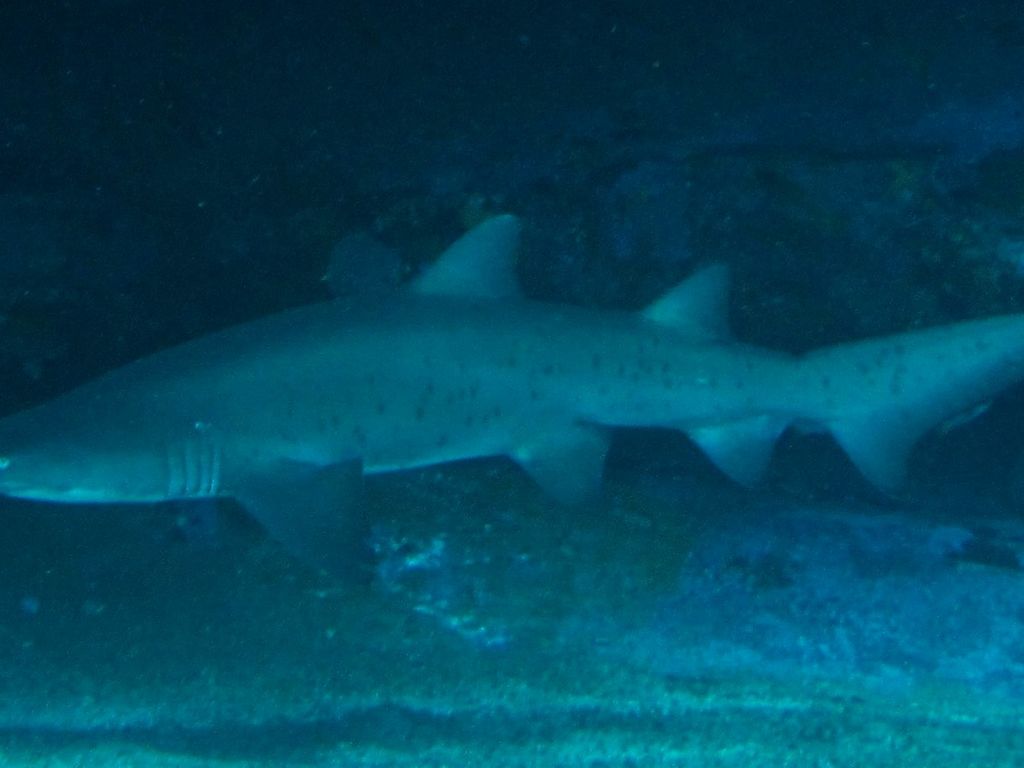 f930c6f3-cbb6-46c4-b44f-19af3b1eb0a5