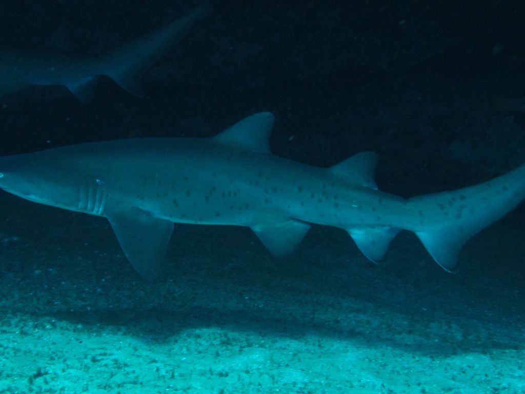 f930c6f3-cbb6-46c4-b44f-19af3b1eb0a5