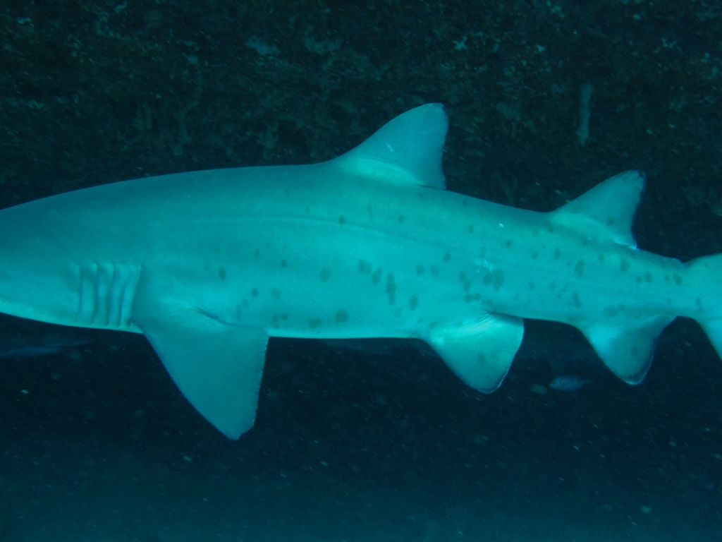 83580cb9-a3fe-4cf4-ba27-4a3233ce4ec9