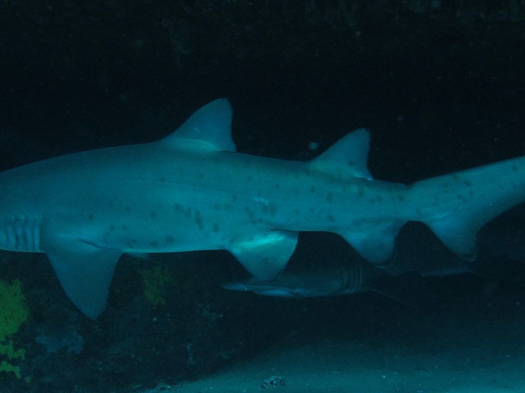 83580cb9-a3fe-4cf4-ba27-4a3233ce4ec9