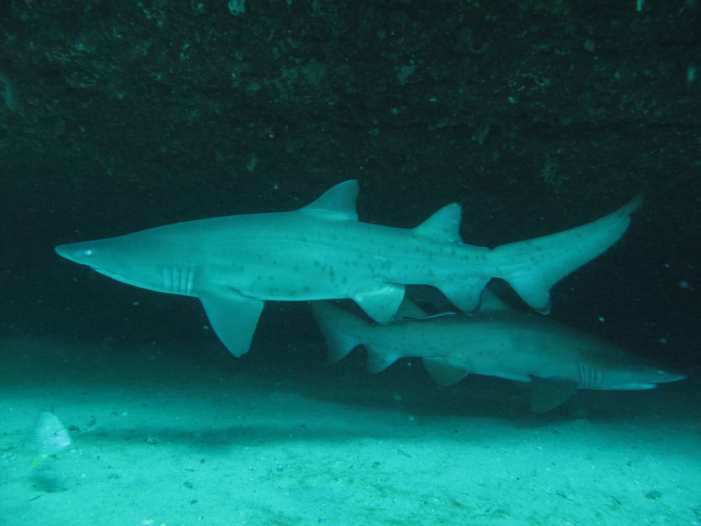 83580cb9-a3fe-4cf4-ba27-4a3233ce4ec9