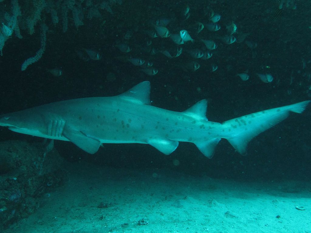 19e7962d-a46c-4d92-902f-8f91b282253b