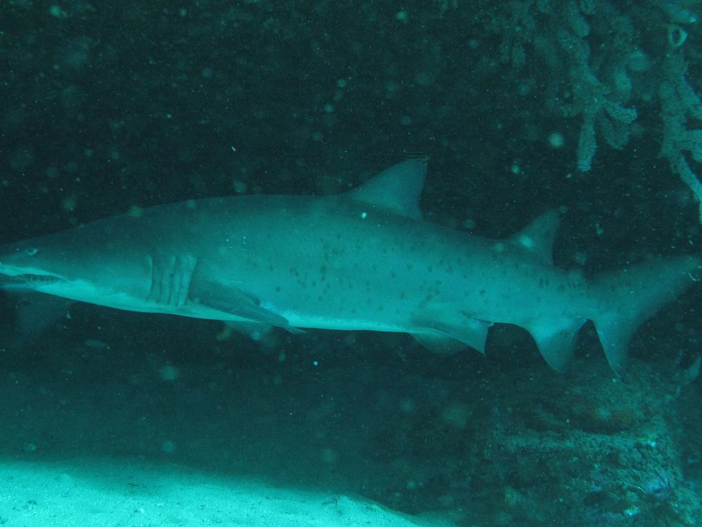 0a07e9c8-a8a0-494f-93fb-fa3fb14bafe7