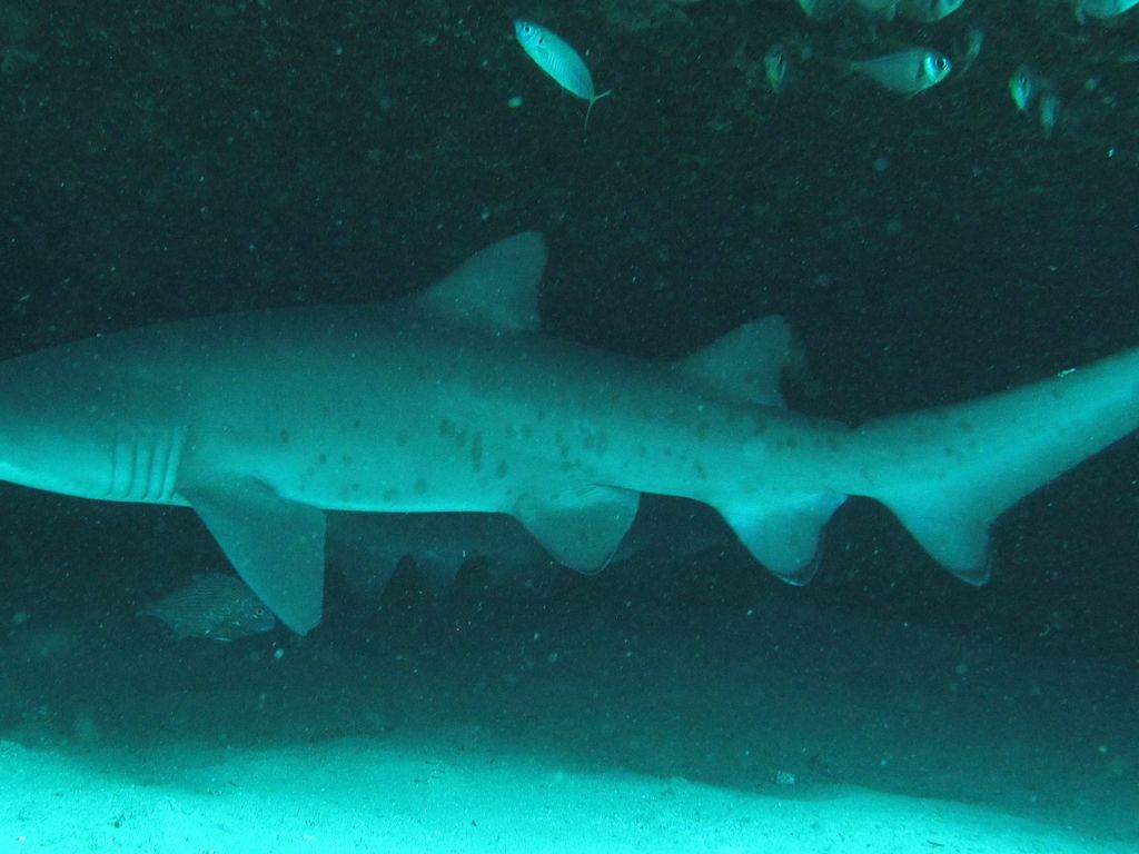 83580cb9-a3fe-4cf4-ba27-4a3233ce4ec9