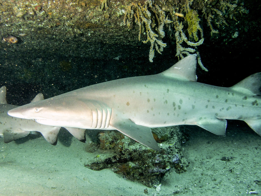 19e7962d-a46c-4d92-902f-8f91b282253b