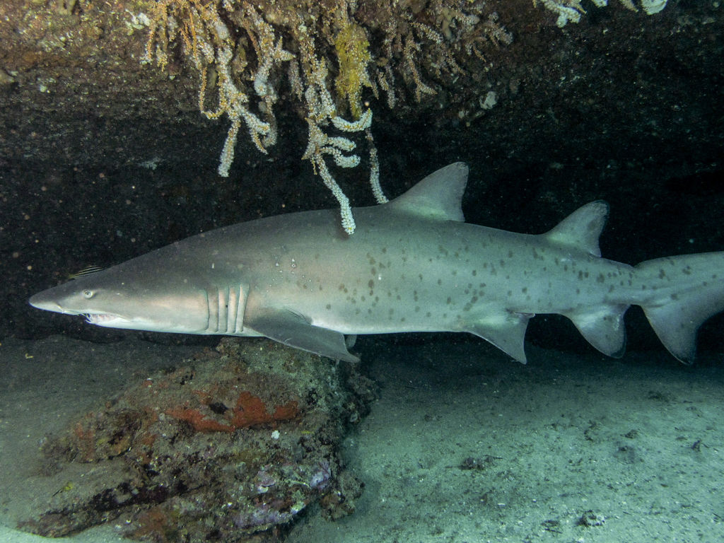 0a07e9c8-a8a0-494f-93fb-fa3fb14bafe7