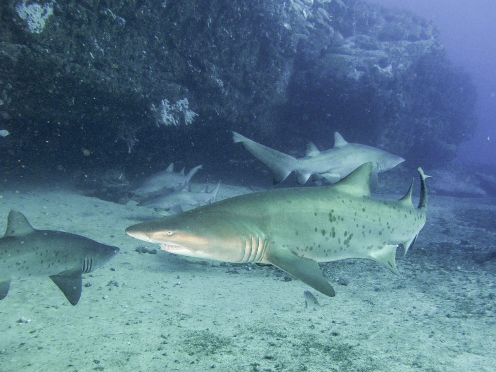 0d35a3b1-f4f9-46fd-b3a7-e84d6426e0f6