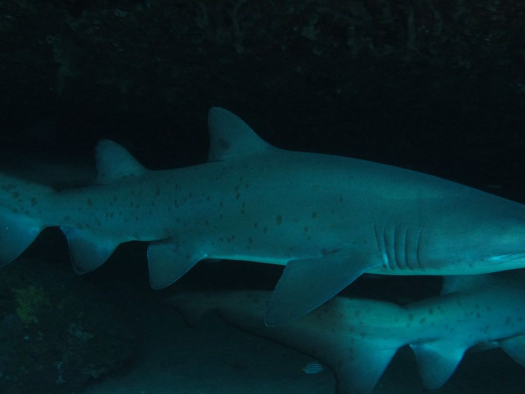 f3397d83-0256-49be-96ec-cc5d5fbf79b7