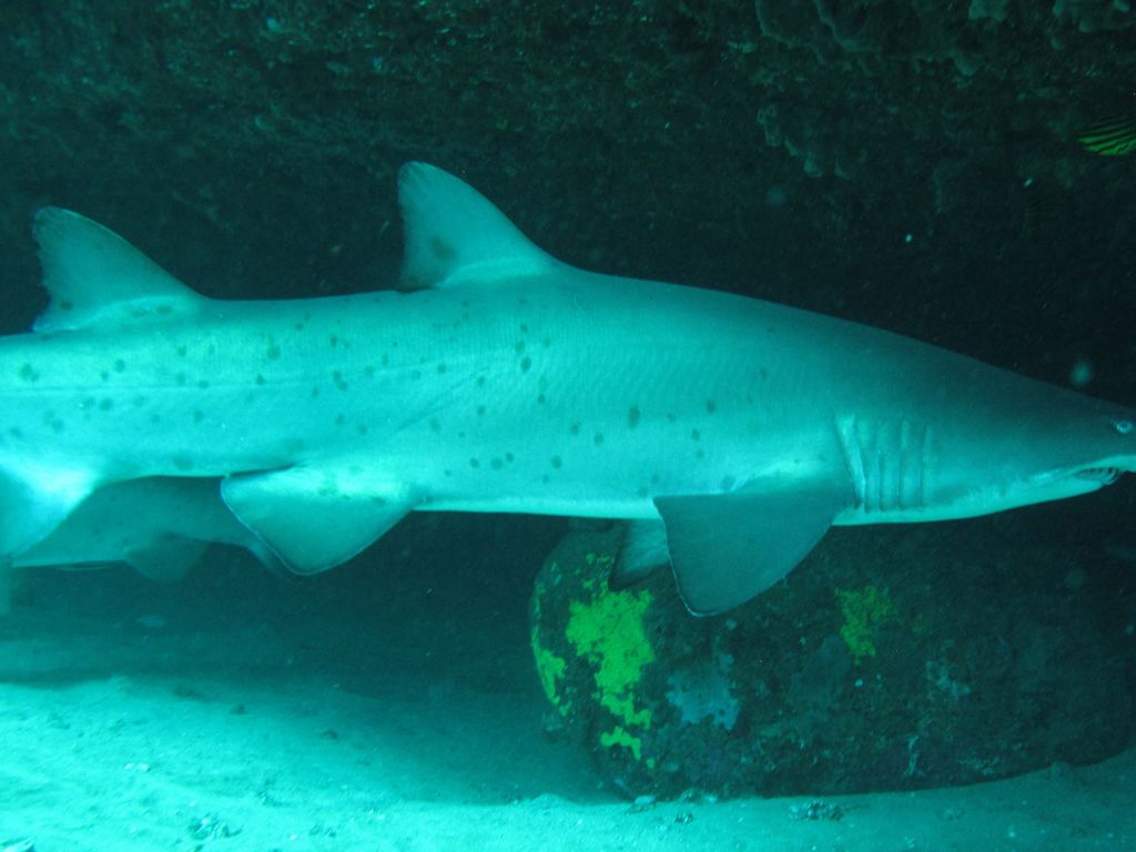 f3397d83-0256-49be-96ec-cc5d5fbf79b7