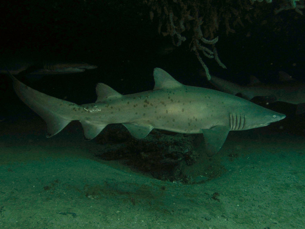 95dbf7af-8e4d-4978-95bb-c7b3c6b8766a