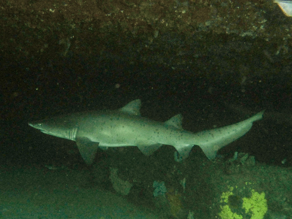 a2502274-c40b-46c3-a20f-5f0831e2192b