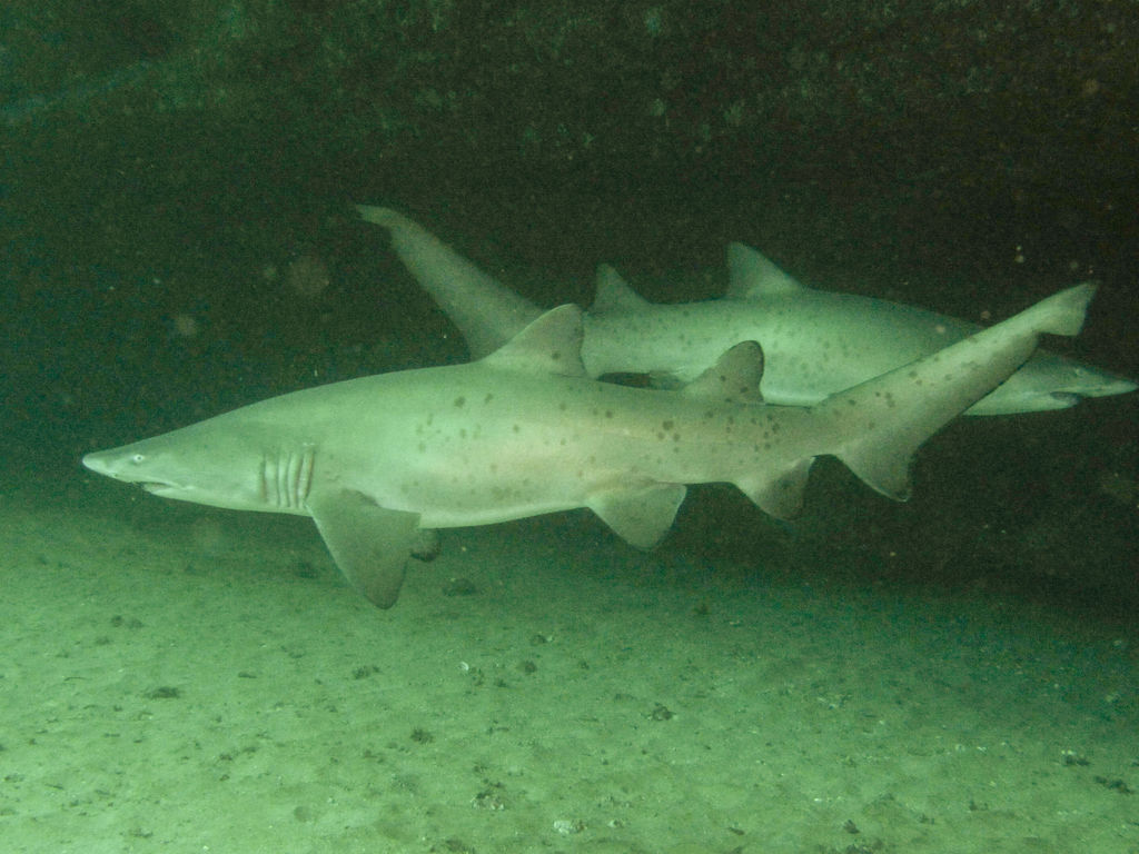 a2502274-c40b-46c3-a20f-5f0831e2192b