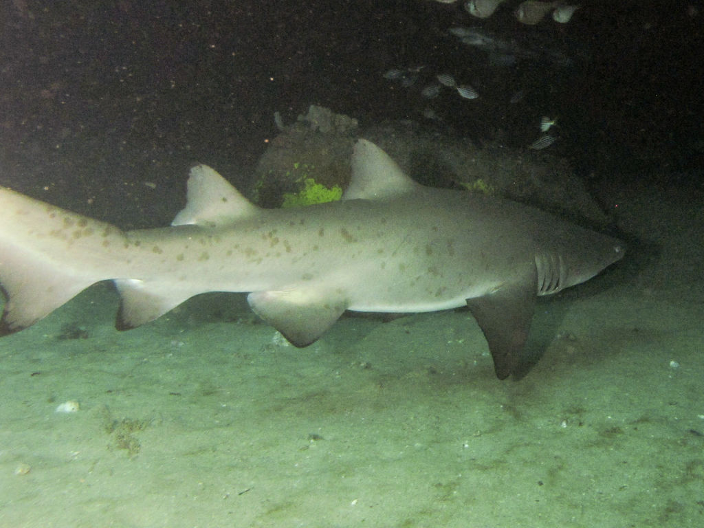 ecd3ac04-5426-44a0-b396-de906786621f