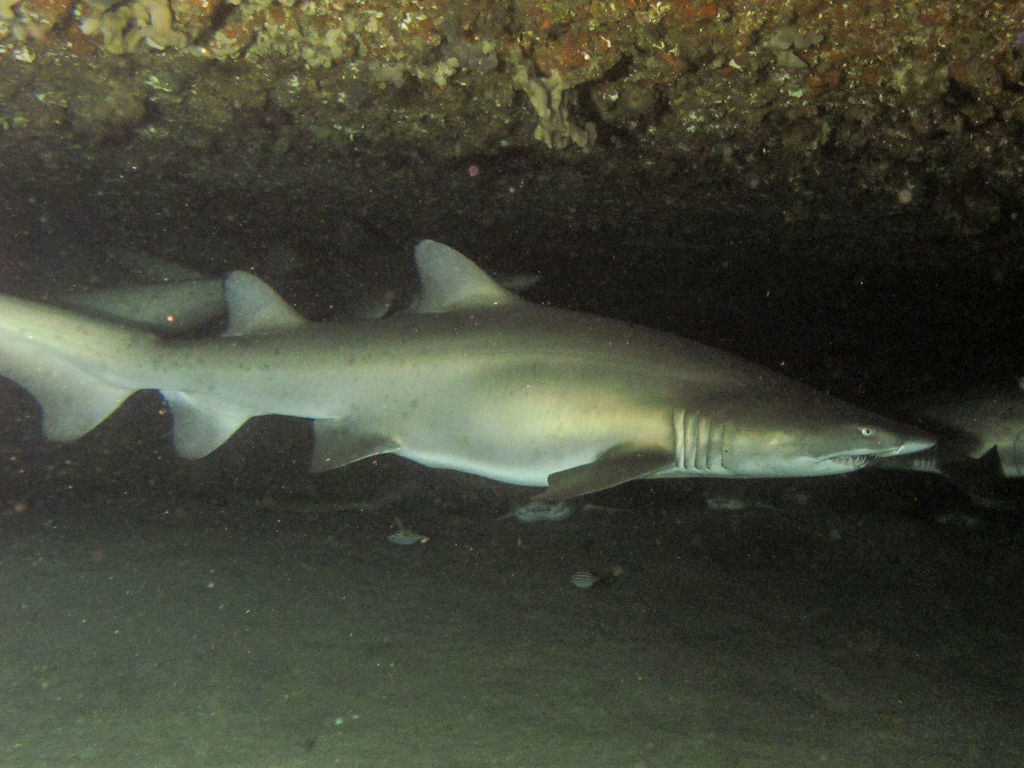 fbef563c-f11a-42e3-ba3e-208e4201314d