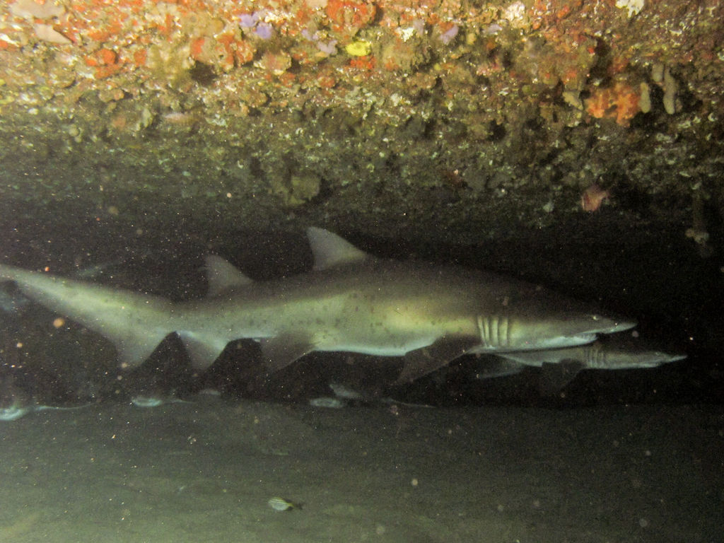 779bc71d-bfcb-4e01-8084-0d92451f4195