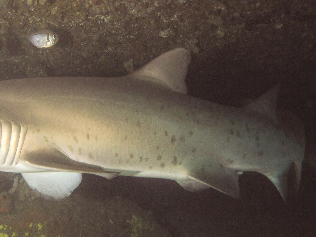 00785751-f167-4c78-8432-7723b92c640a