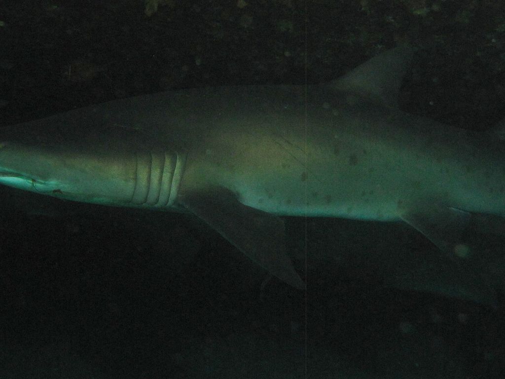 bbb81ed4-c688-4c14-8d64-a3b320e89e6d