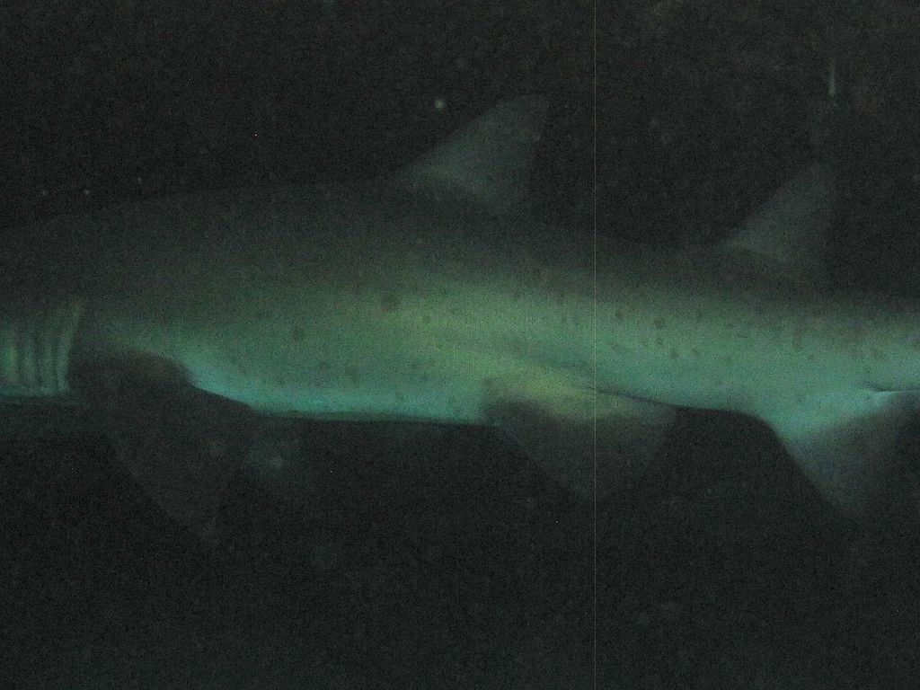 bbb81ed4-c688-4c14-8d64-a3b320e89e6d