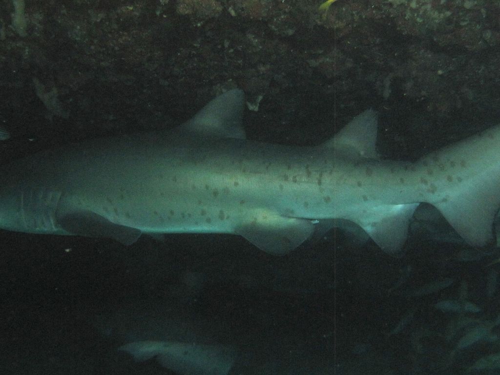 00785751-f167-4c78-8432-7723b92c640a