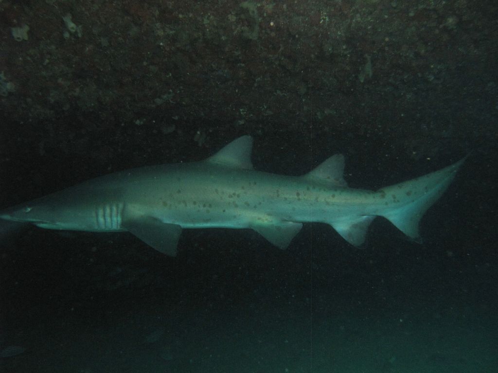 b0dcc4be-2fdf-4306-a4de-ec2f4ad58523