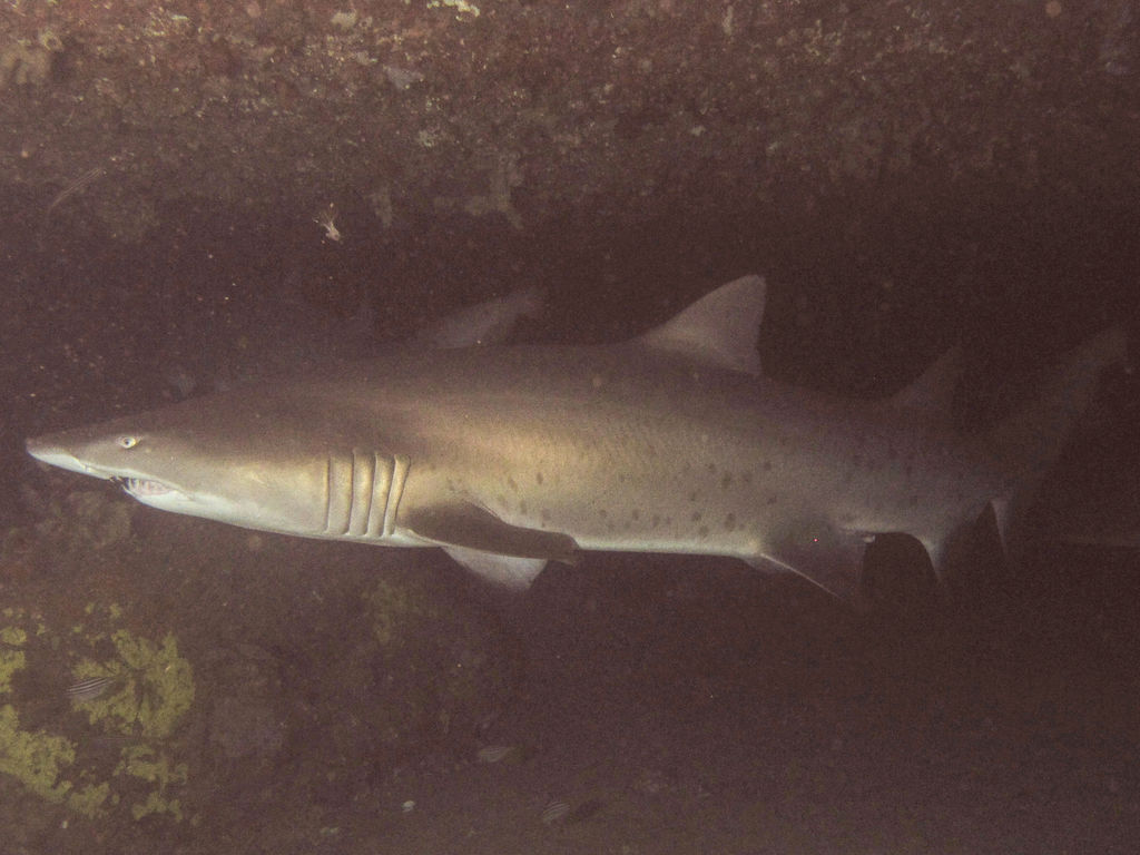 00785751-f167-4c78-8432-7723b92c640a