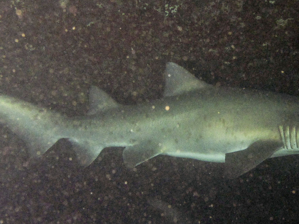 5ffe65ef-bcad-41c6-aa04-f41ce2a5efae