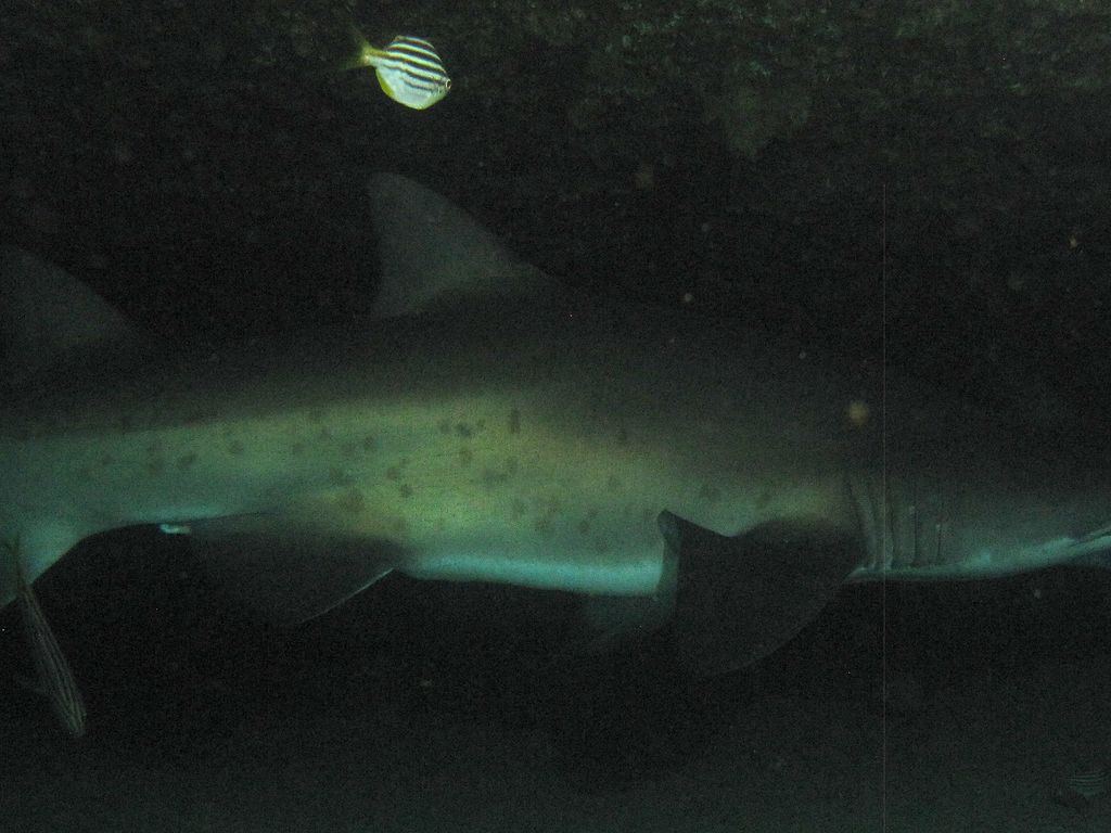 2262d5b5-ea43-4e6c-a529-b20e1c8cf34e