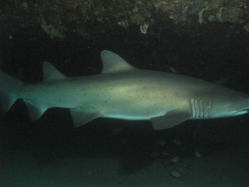 fbef563c-f11a-42e3-ba3e-208e4201314d