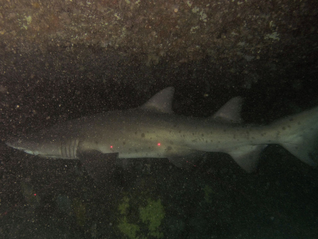 bbb81ed4-c688-4c14-8d64-a3b320e89e6d