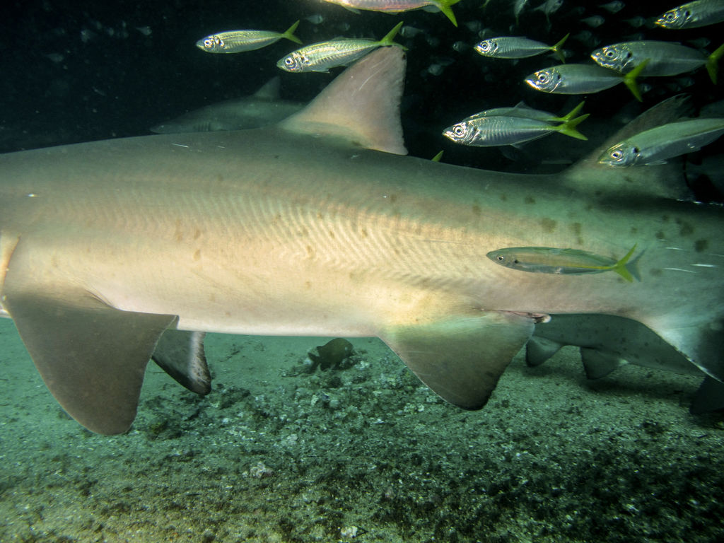 cb6b2906-3b56-4df9-8d16-d3a7a1108464