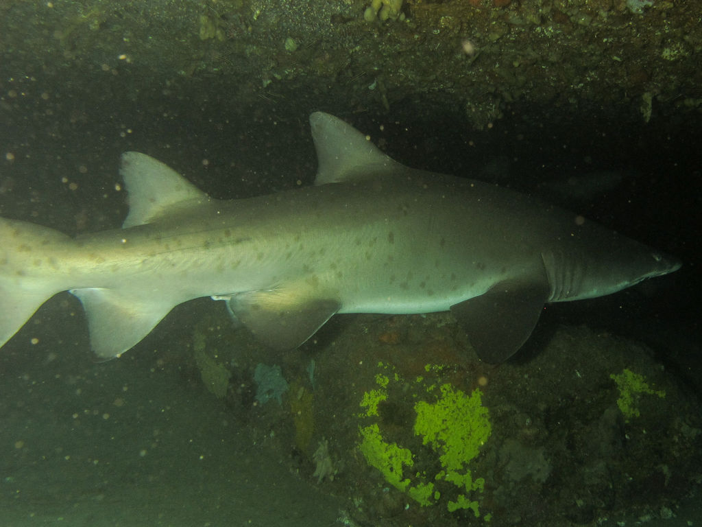 2262d5b5-ea43-4e6c-a529-b20e1c8cf34e