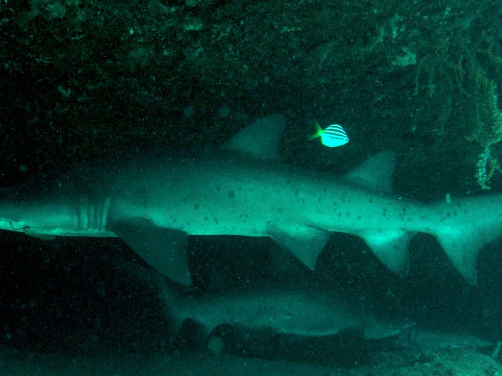 bbb81ed4-c688-4c14-8d64-a3b320e89e6d